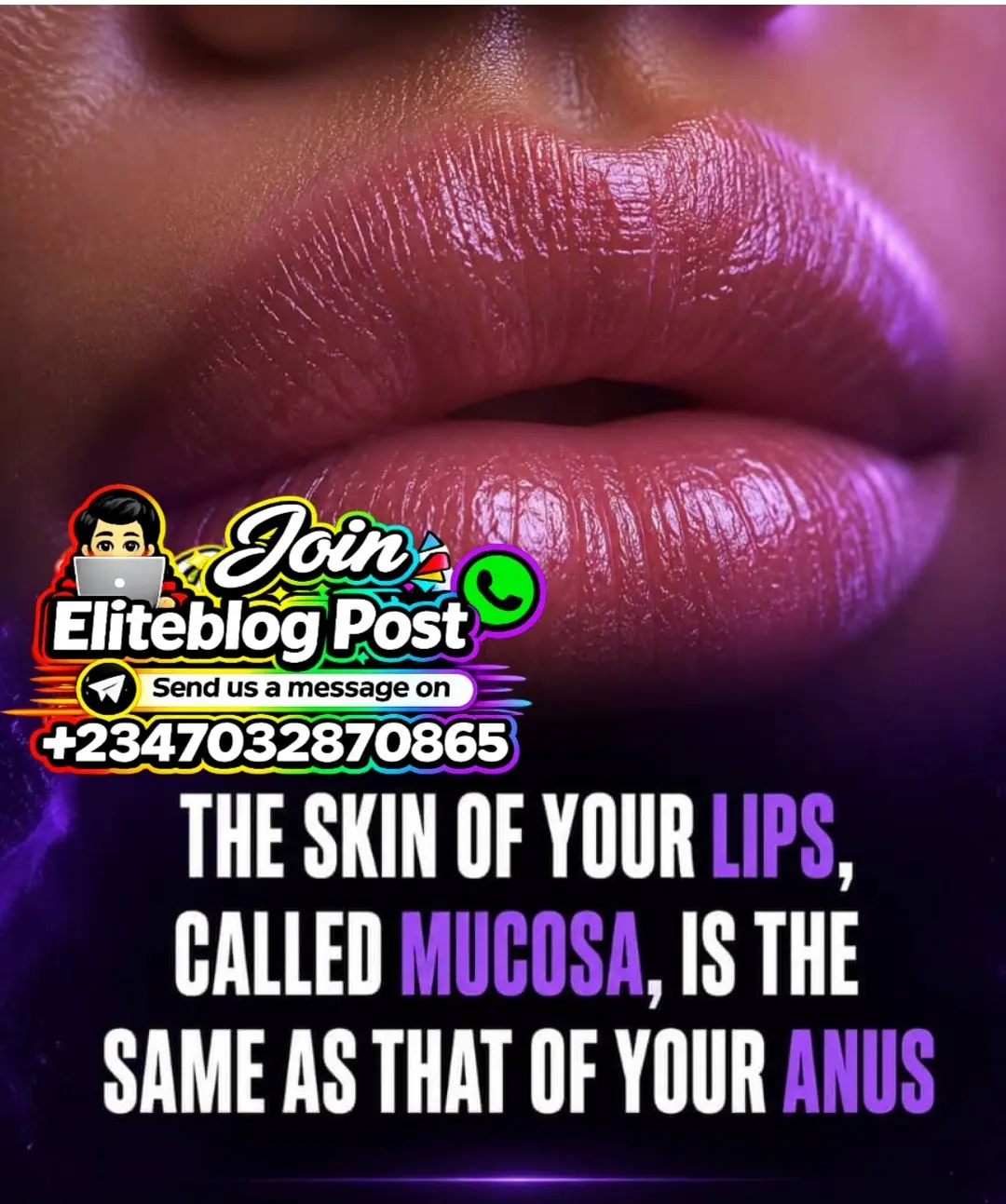 The skin of your lips called mucosa, us the same as that of your Anus, just so you know every time y...