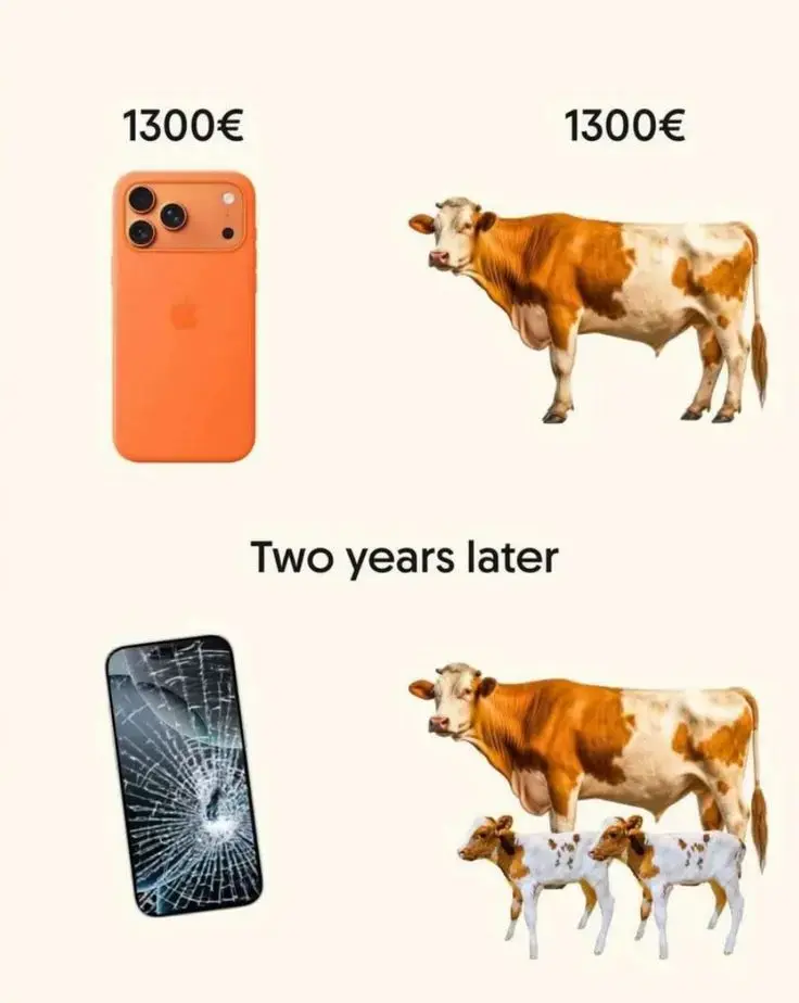 I'm using #LekeeLekee reward to buy cows instead of using it to buy iPhone 18 for girlsπππ
#Trend...