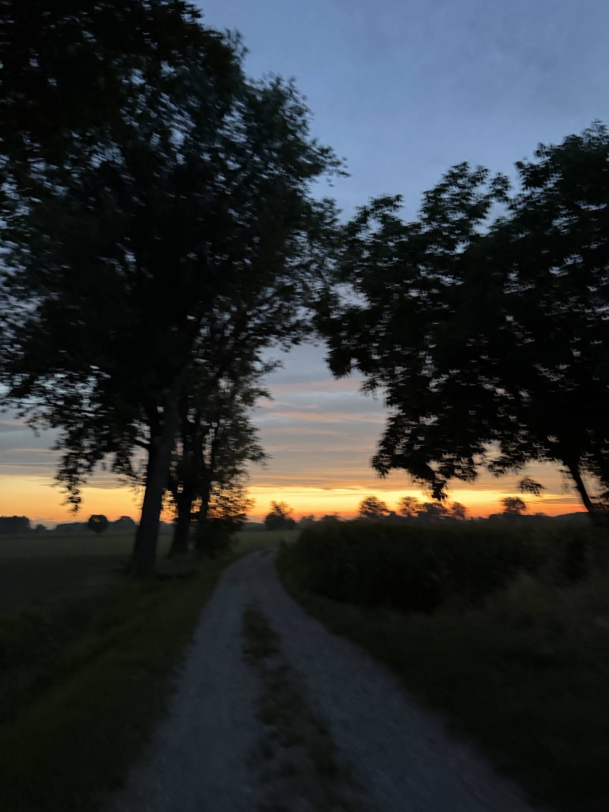 Sunrise