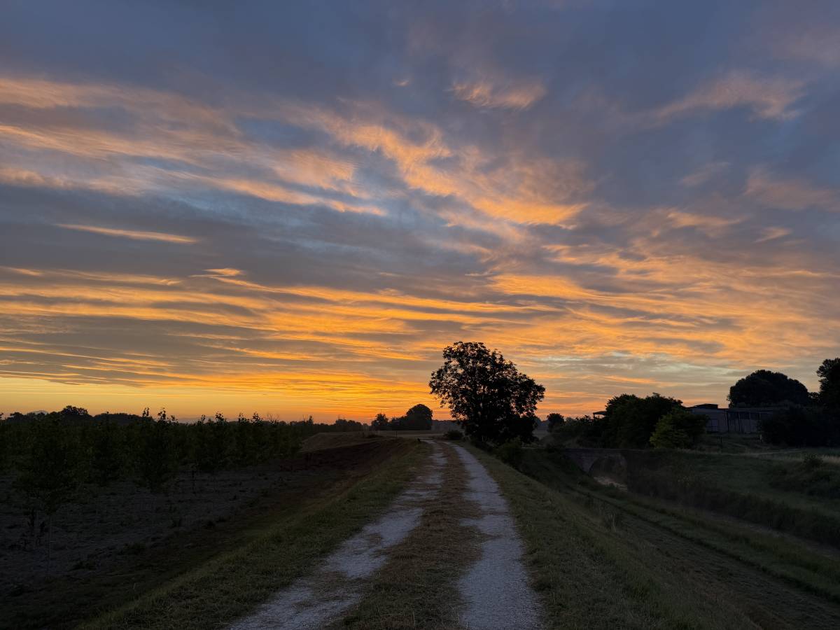 I Still Trust the Road Even Though It's Disappearing
There comes a point in every journey when the r...