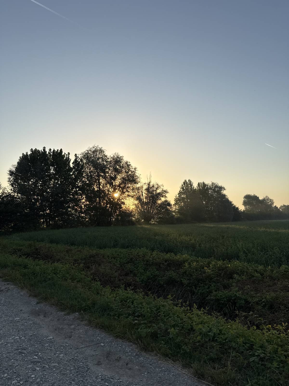 Every moment is a gift we can’t reclaim. Every sunrise is heaven sent. Hold it close why it shine.