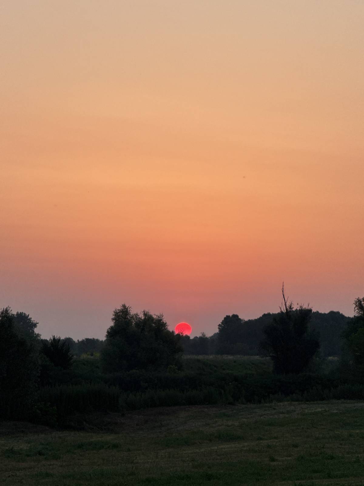 Sunrise in the eyes of an early bird.