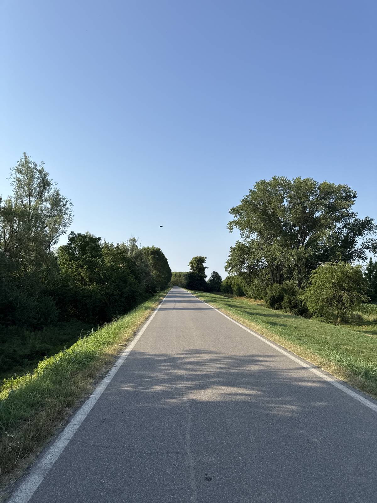 #Nature