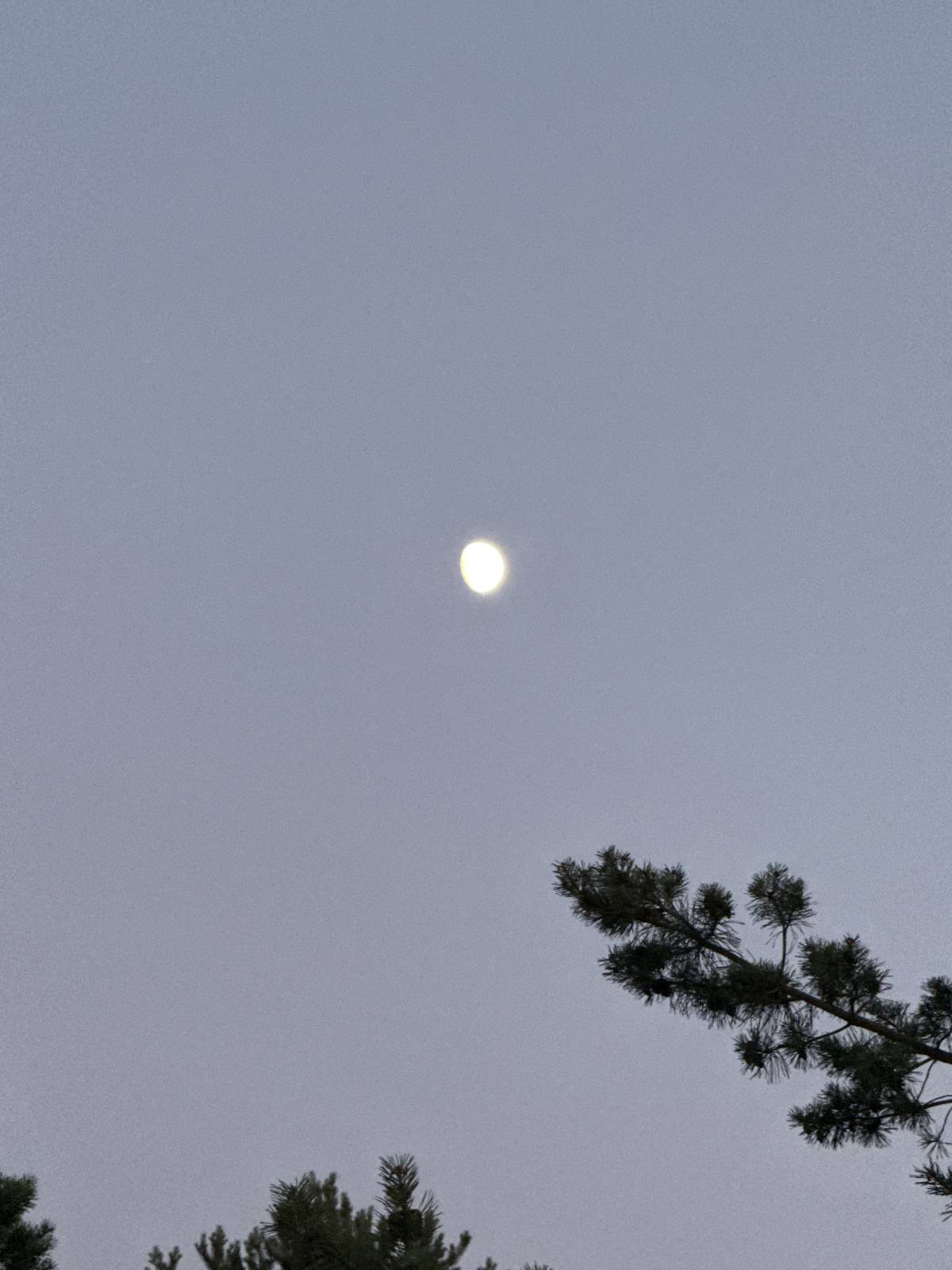 #Moon