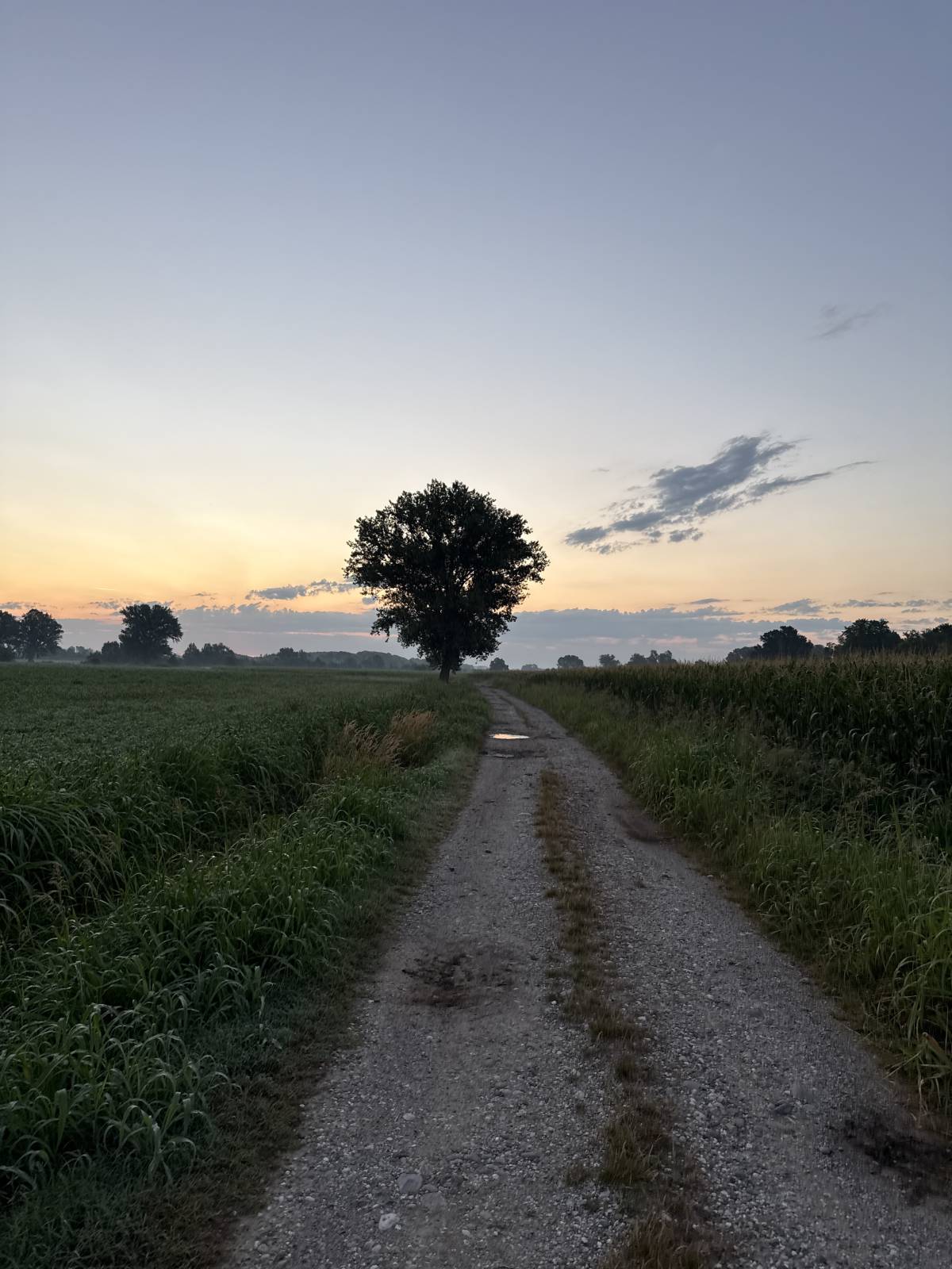 ##MorningWalk