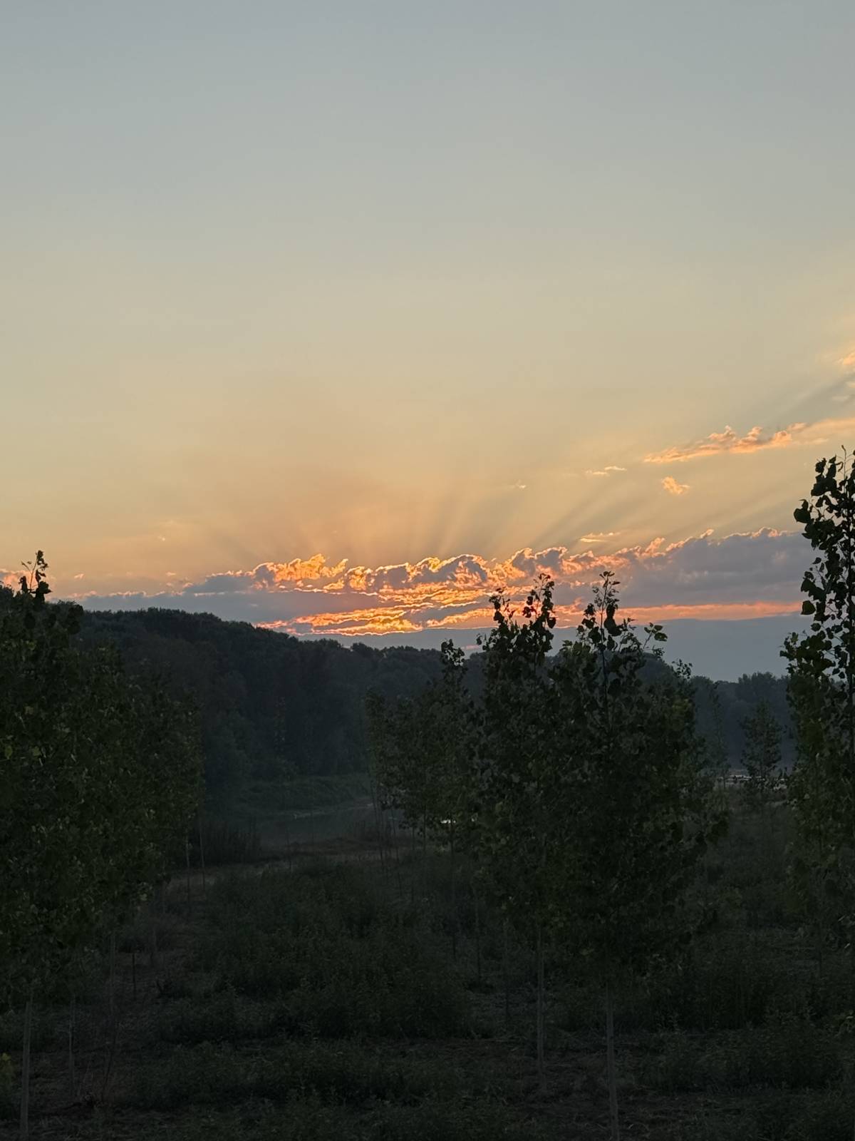 #Nature