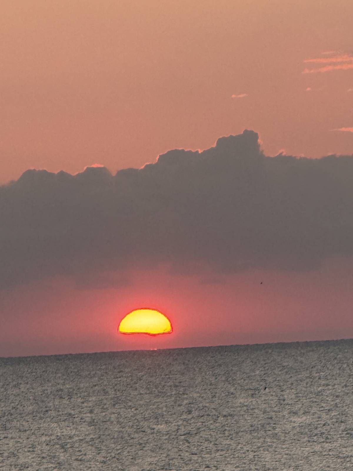 #Sunrise