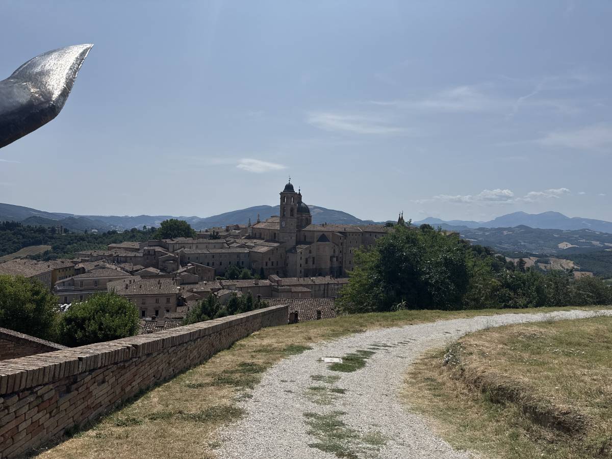 #Urbino