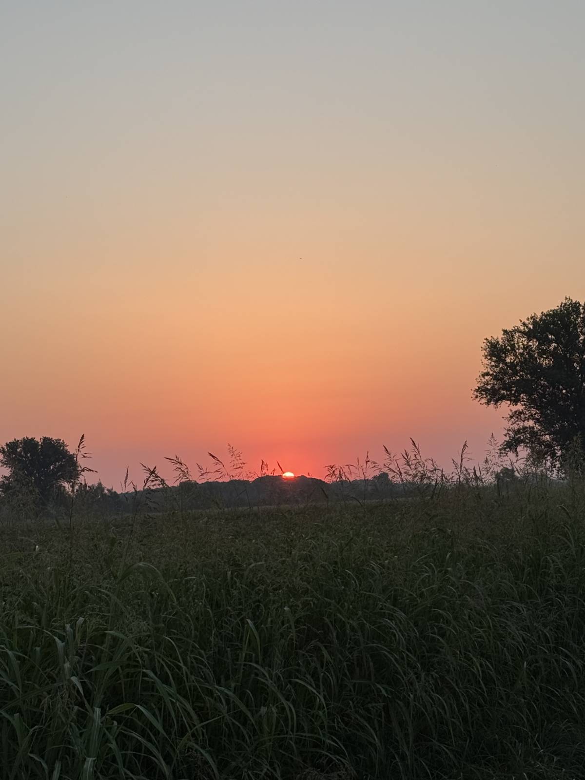 #Sunrise