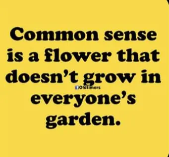 Make sure you plant and nurture it in your garden!
Good morning, my neighbours. Have a splendid day...