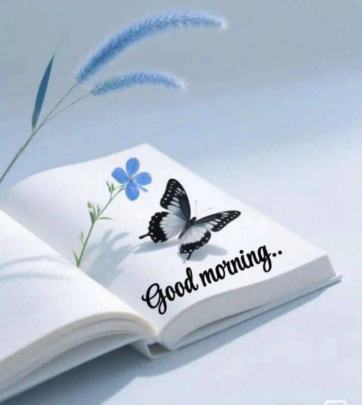 GOOD MORNING FAM