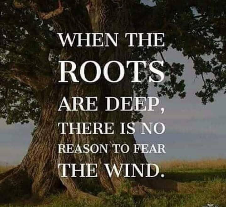Post by William Warigon