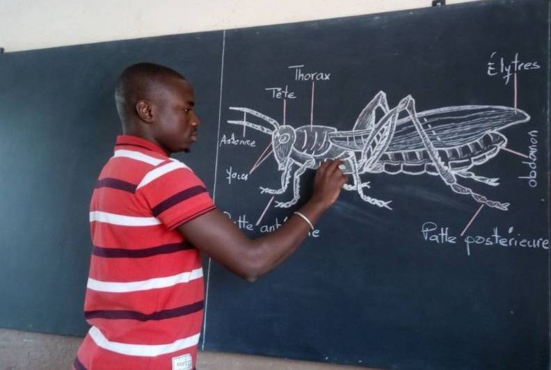 Nigeria we will be drawing Grasshopper while in China, they are building machines! Who did we Offend...