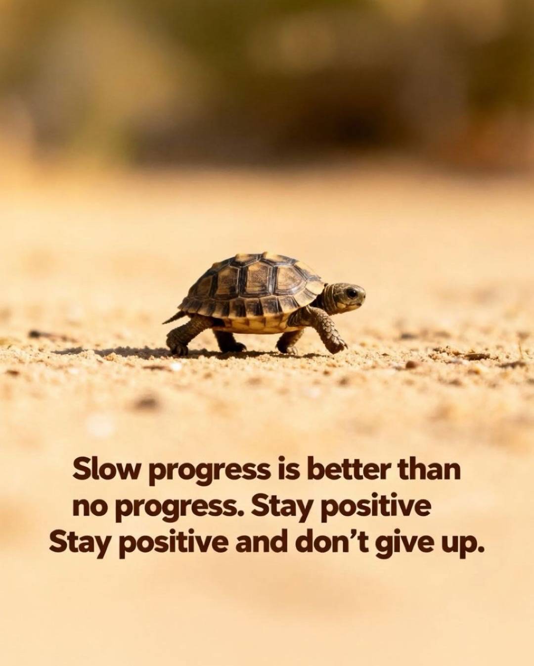 SLOW PROGRESS IS BETTER THAN NO PROGRESS AT ALL......