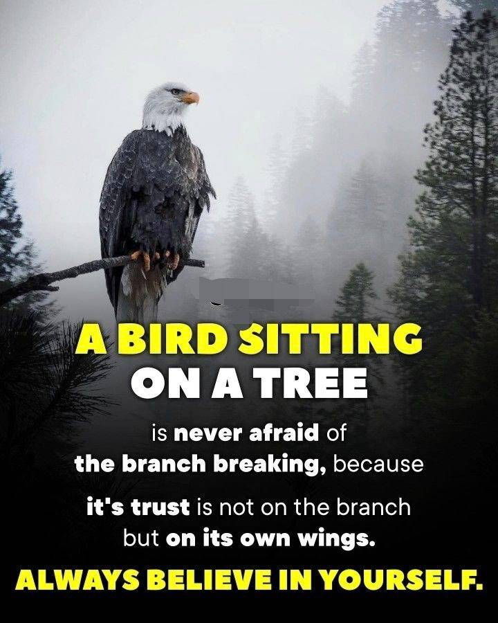 ALWAYS BELIEVE IN YOURSELF.
IT'S WEEKEND Y'ALL, RE-ENERGISE, PLAN AND EXECUTE BELIEVE YOU CAN DO IT.