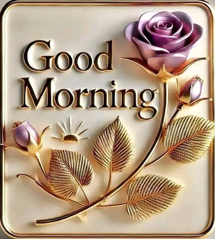 Good morning guy's
How was your night
Hope you slept well ๐โค๏ธโ๐ฉน