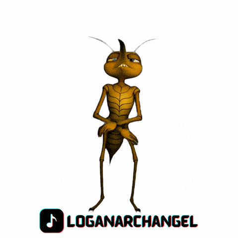 Sleep tight my people, and if mosquito wan chop your blood, tell am say โOga, manage another person...