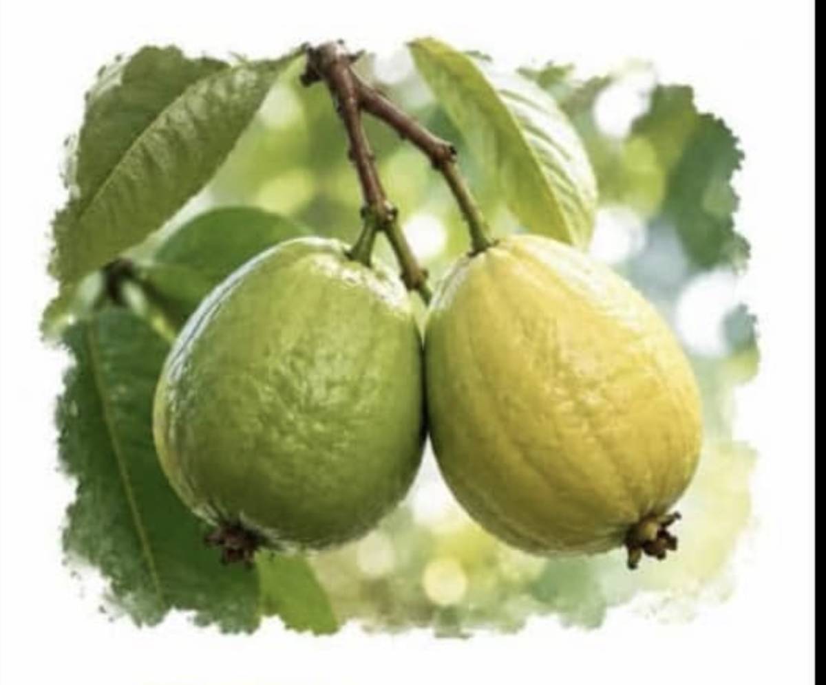 Both fruits grow on the same branch-one ripens while the other awaits its time. Nature reminds us th...
