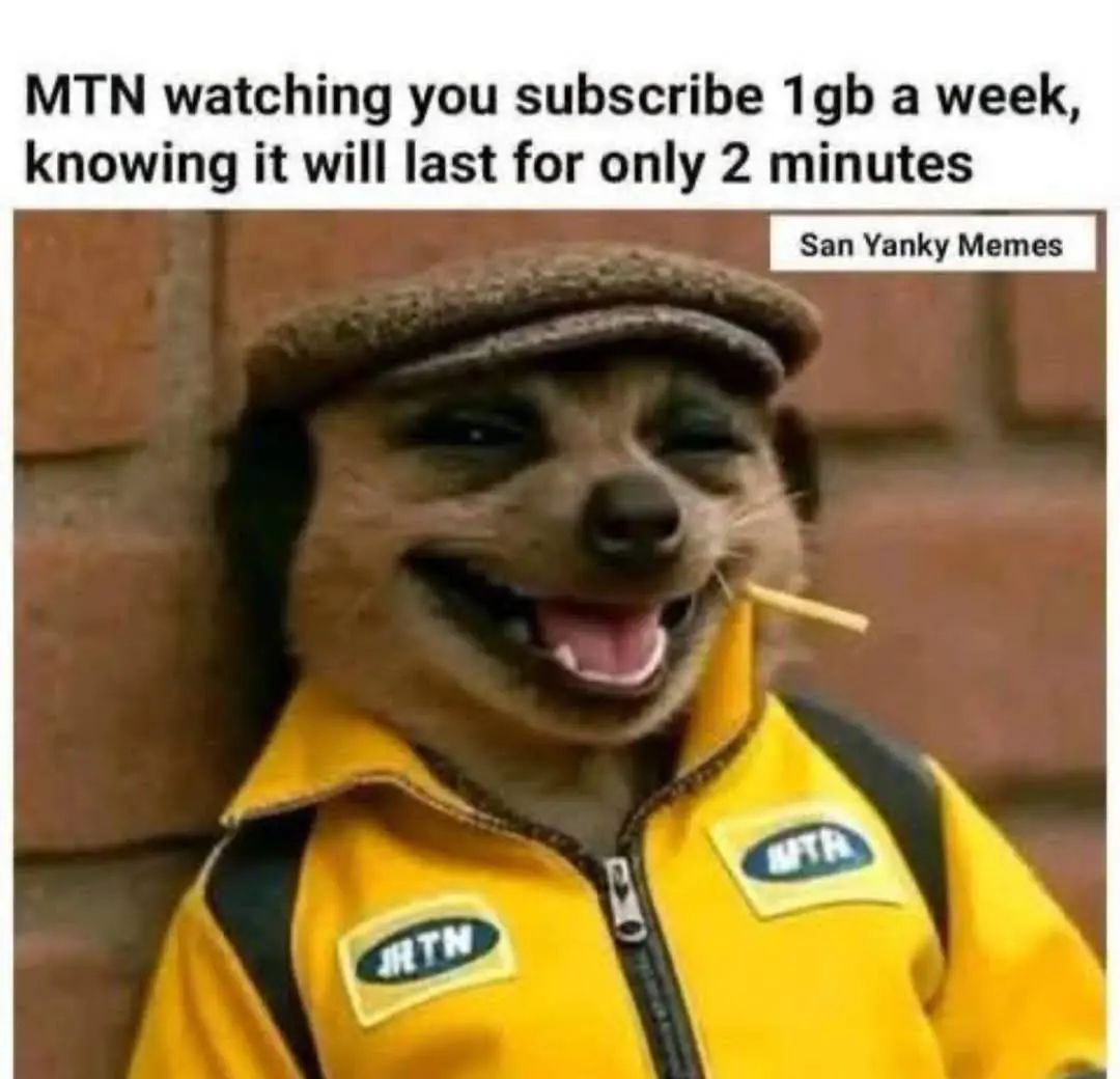 😂😂