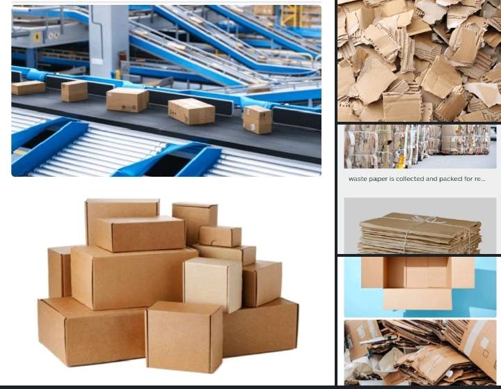 Turning Waste into Wealth: The Role of Carton Recycling
Carton, a biodegradable material, naturall...