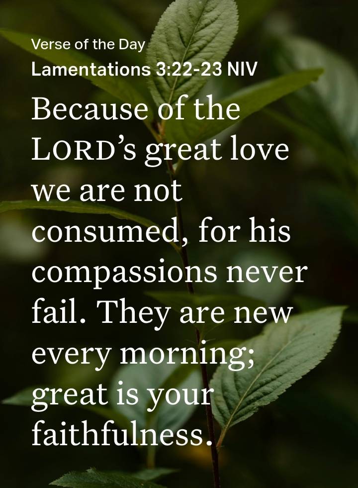 Beautiful morning,
May God’s unfailing love surround you today. May His mercies speak for you, and m...