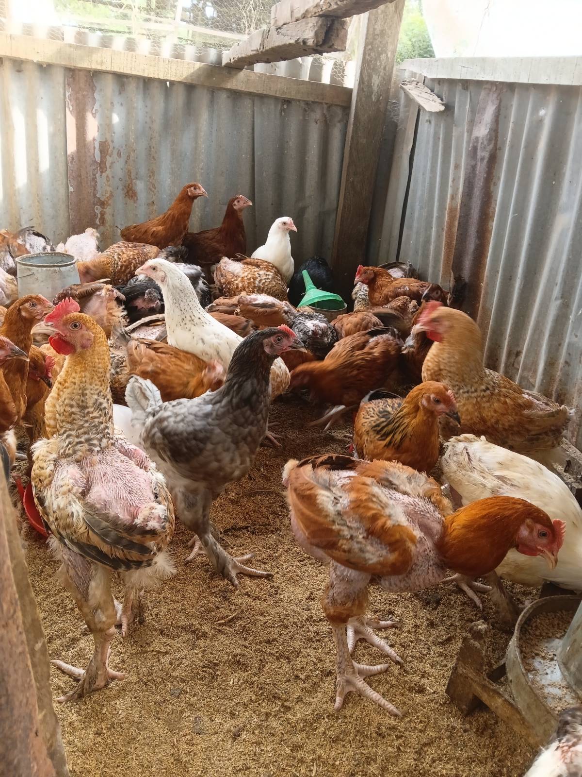 #fasadofarms loading