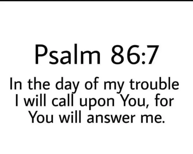 My God is a good God!
He will never forsake those that put their trust in Him!
He has never failed...