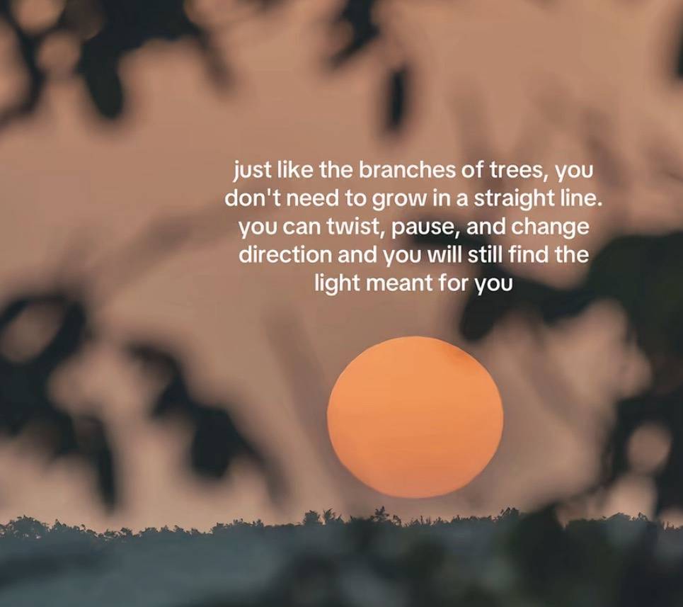 You don't have to grow in a straight line to reach your purpose.
#LekeeLekee #LifeLessons