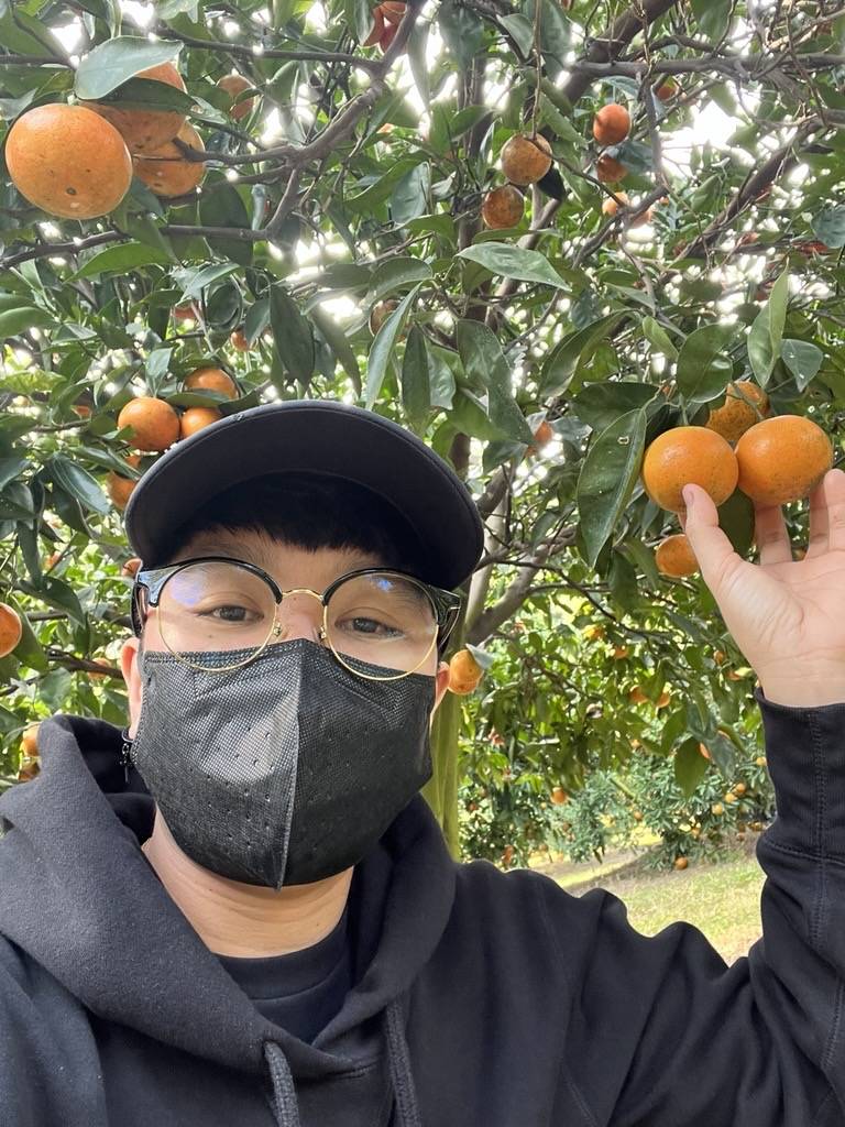 Positive mind, Positive life!
A beautiful orange tree in Taiwan.
#LekeeLekee
