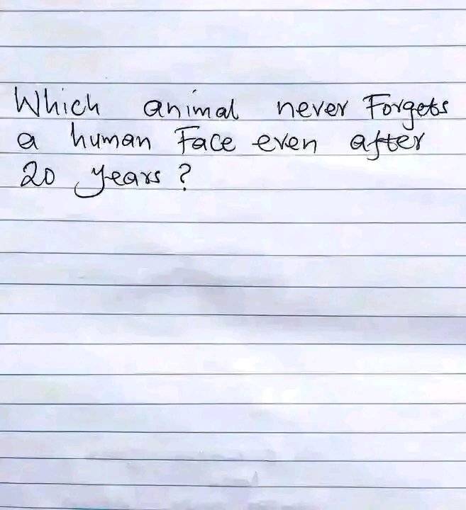 ???