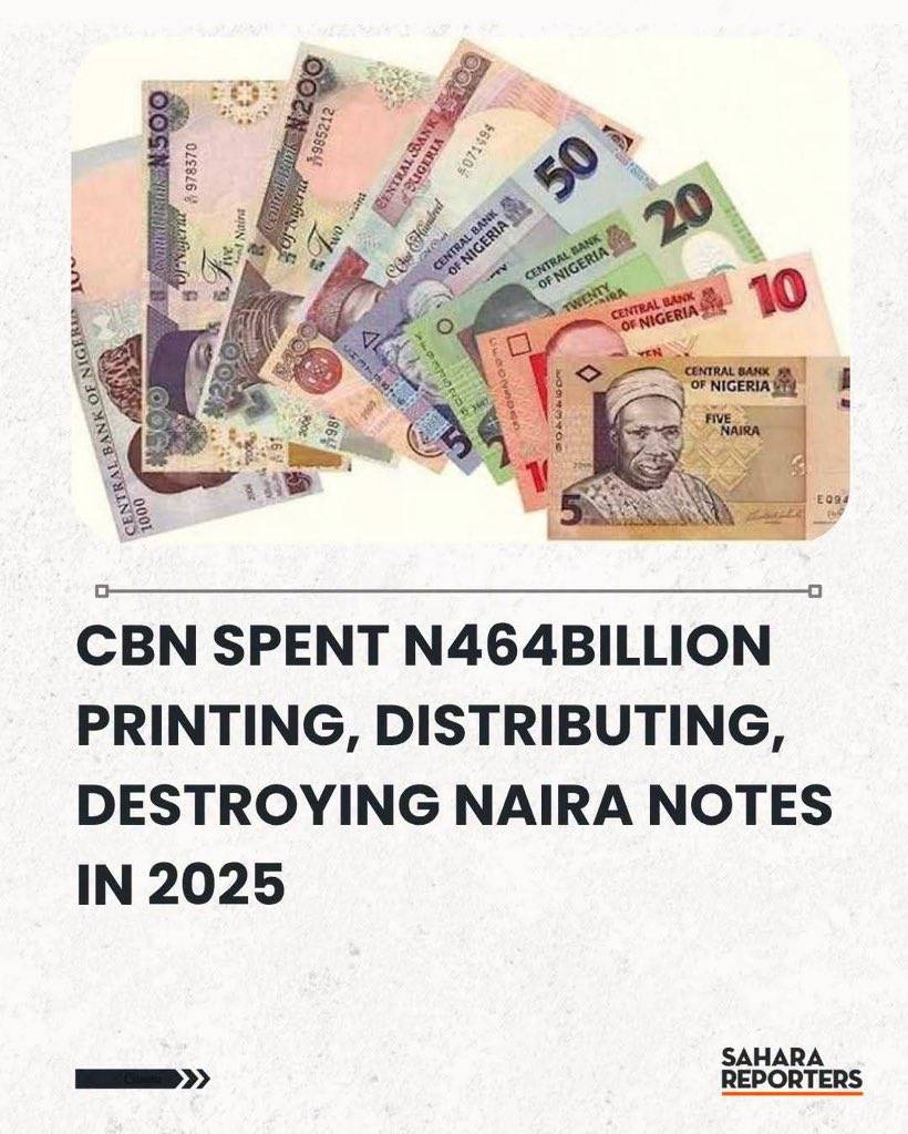 You need craze first to fit understand this country🤣