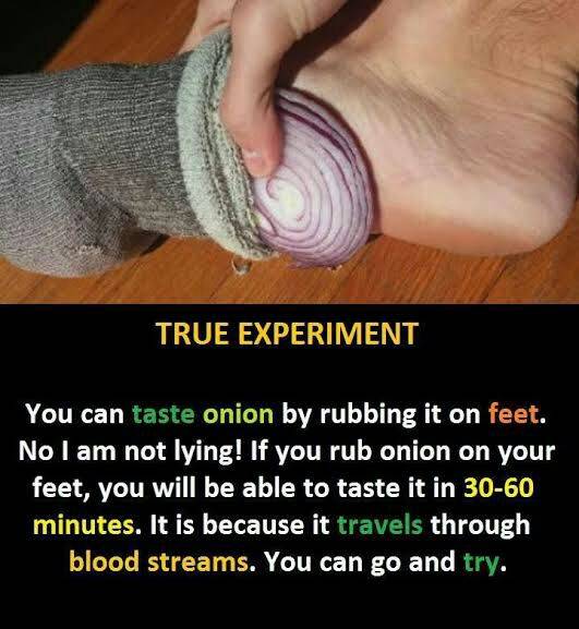 🧄🦶
If you rub an onion on your foot, you'll be able to taste it in your mouth within 30-60 minute...