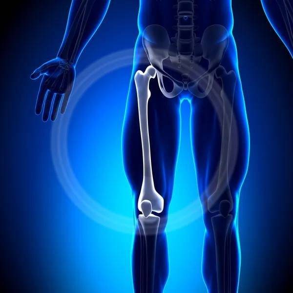 🦵🏻 Human femur bones are stronger than concrete.
#LekeeLekee #mrfoolish #facts