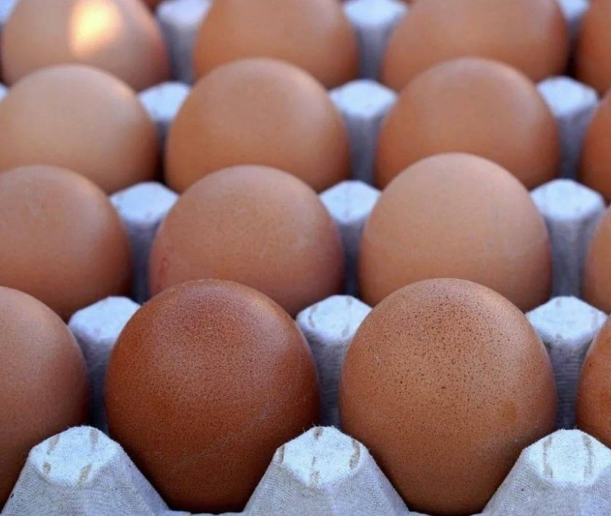 Eggs contain tyrosine, from which the body synthesizes norepinephrine and dopamine, which improve mo...