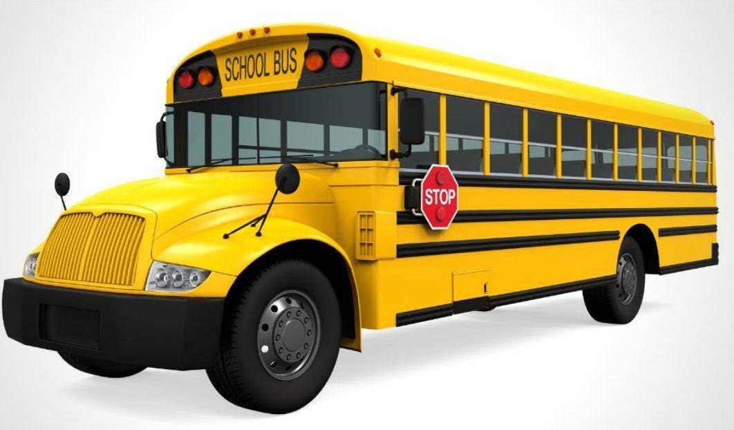 School buses are yellow because we see yellow faster than any other color. 1.24 times faster than we...