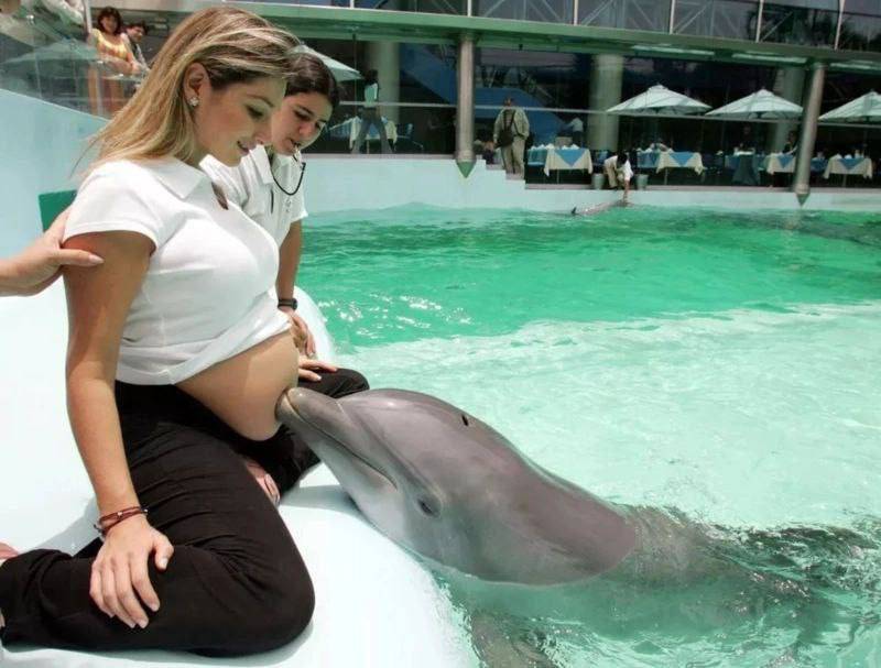 Dolphins are very fond of girls in position, because they can communicate with babies via ultrasonic...