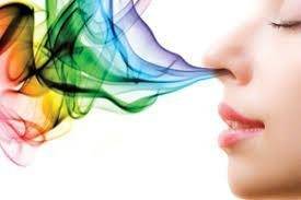 Another discovery.
🤫 Body odor is unique, and can differentiate us like fingerprints.
#LekeeLekee #...