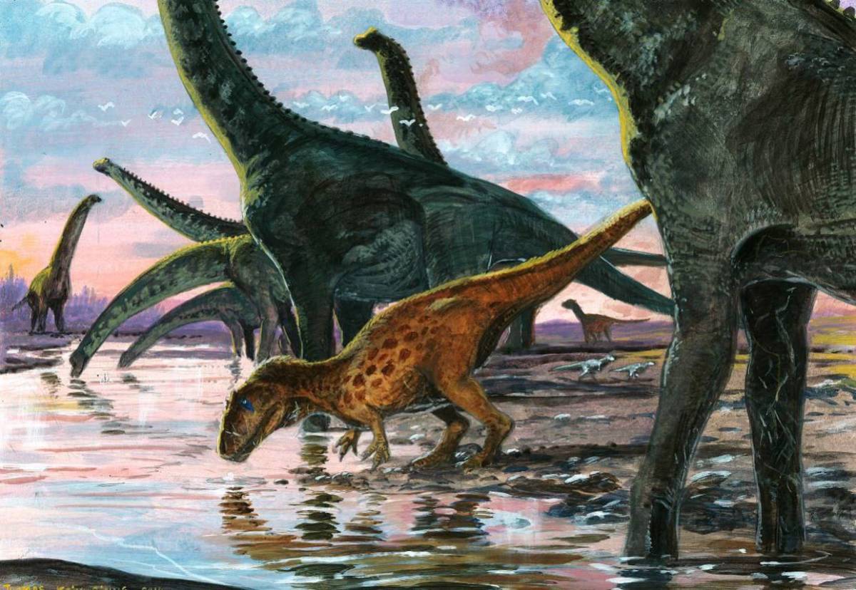 The water you drink is older than the solar system. And most of the drinking water went through dino...