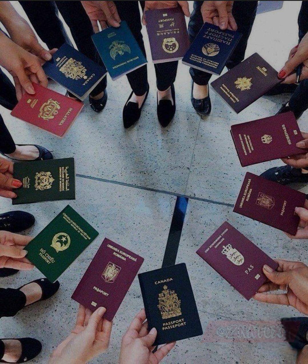The covers of all passports in the world have shades of only four colors: blue, red, green and black...