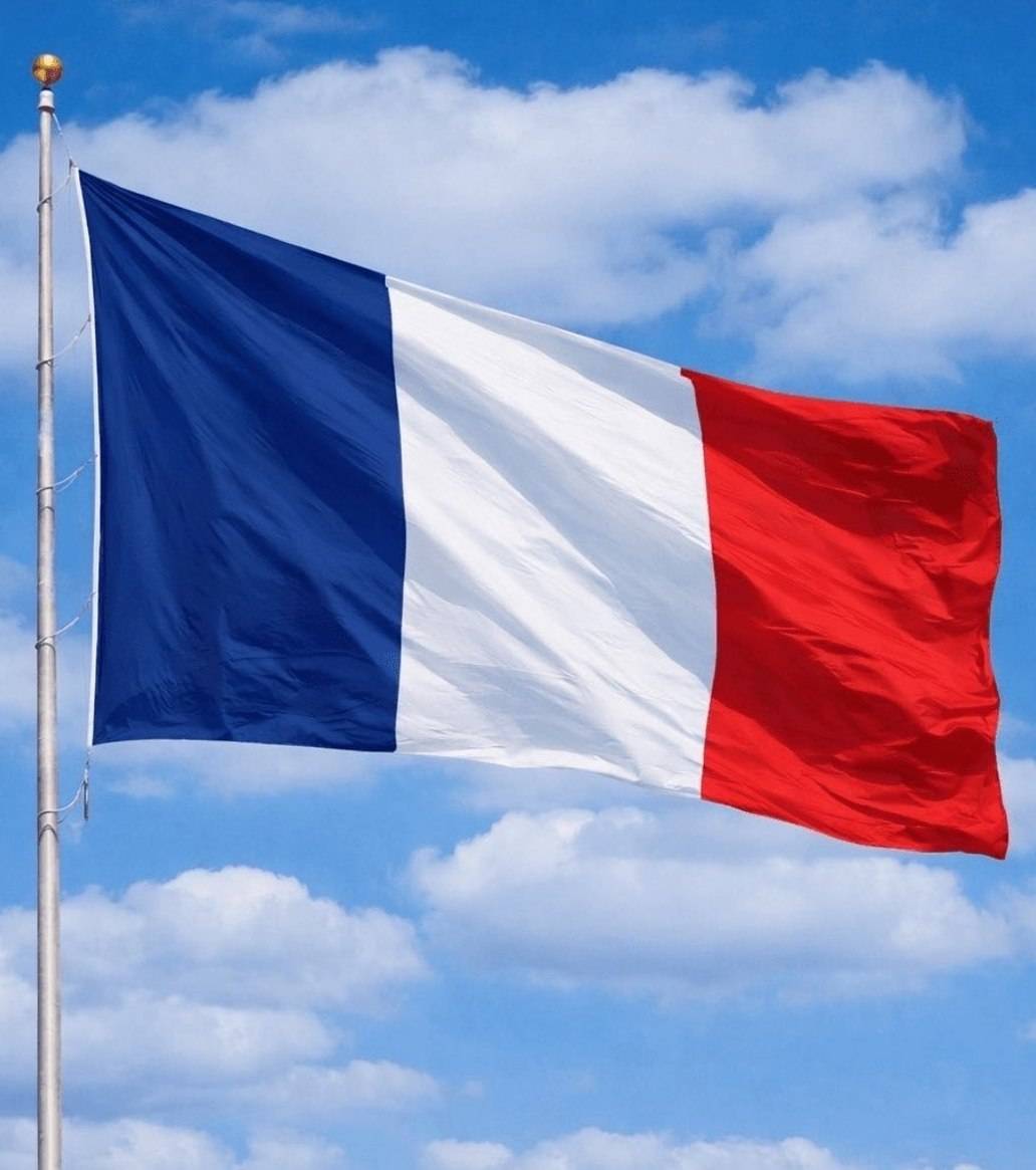 JUST IN: ๐ซ๐ท France bans social media for children under the age of 15.
#News #update