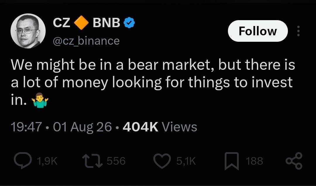 ⚡ CZ: " We might be in a bear market, but there is a lot of money looking for things to invest in....