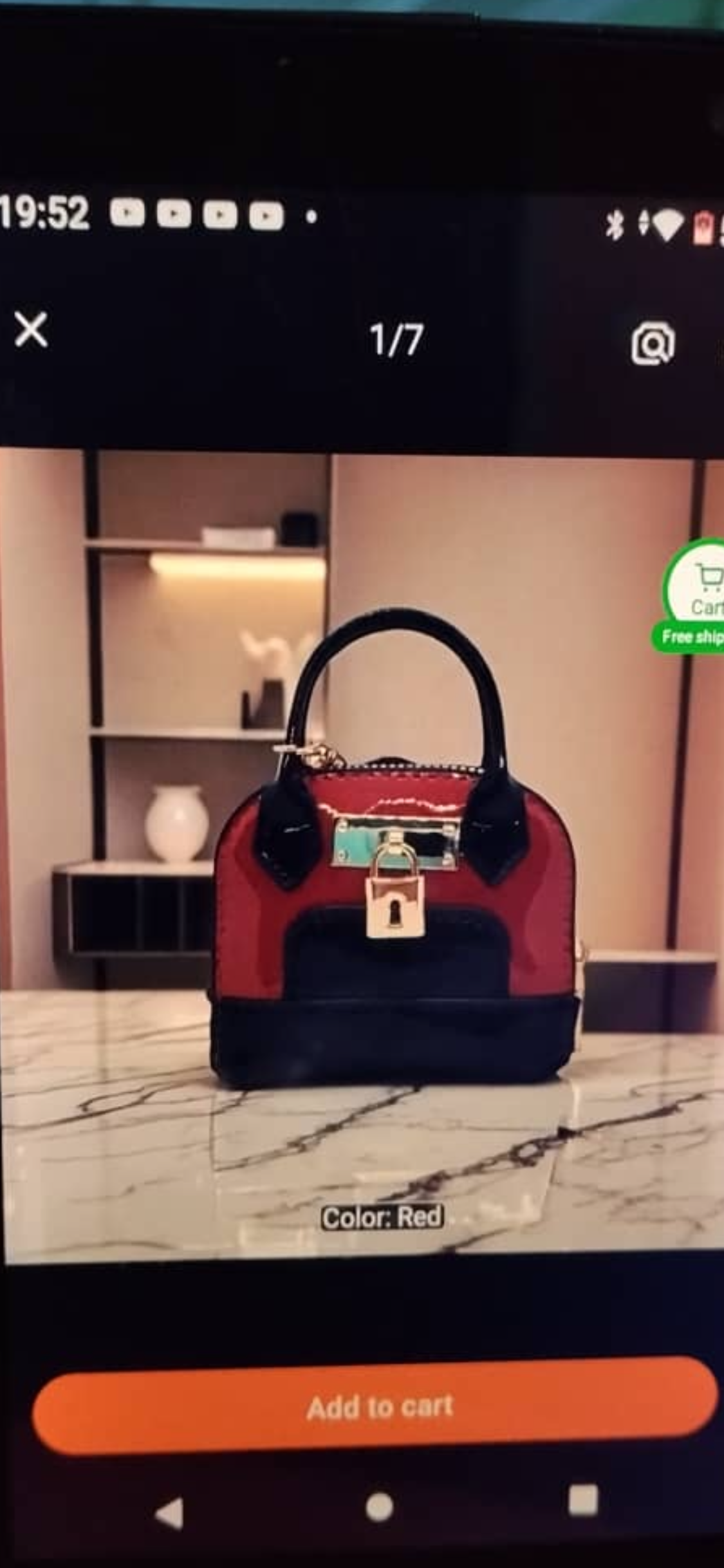 My sister bought this supposed hand bag from Temu. Share you experience pls