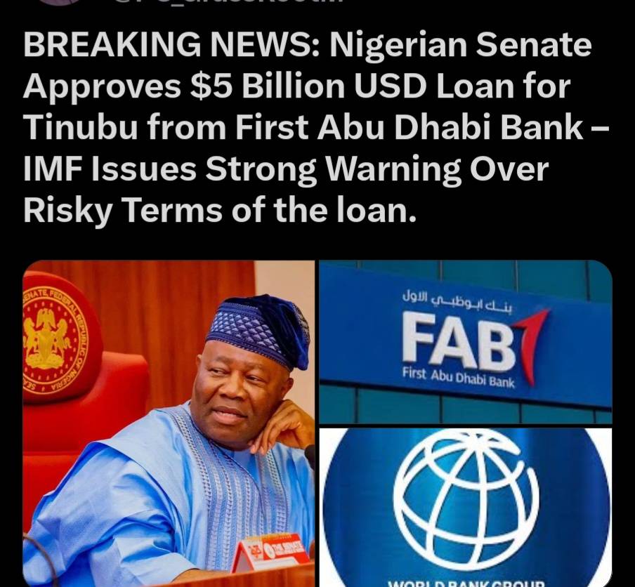 Where did we get this tomatoes senate president from .....Nigeria is sold out