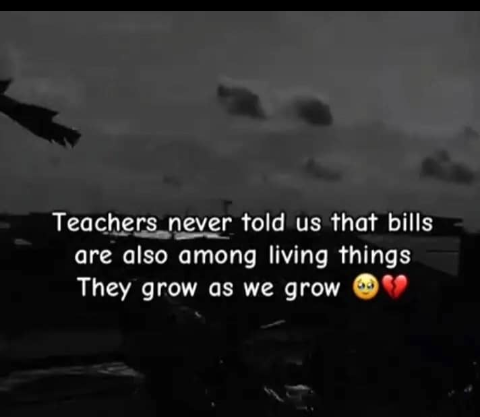 My bills are growing taller each day!!๐
What about yours???