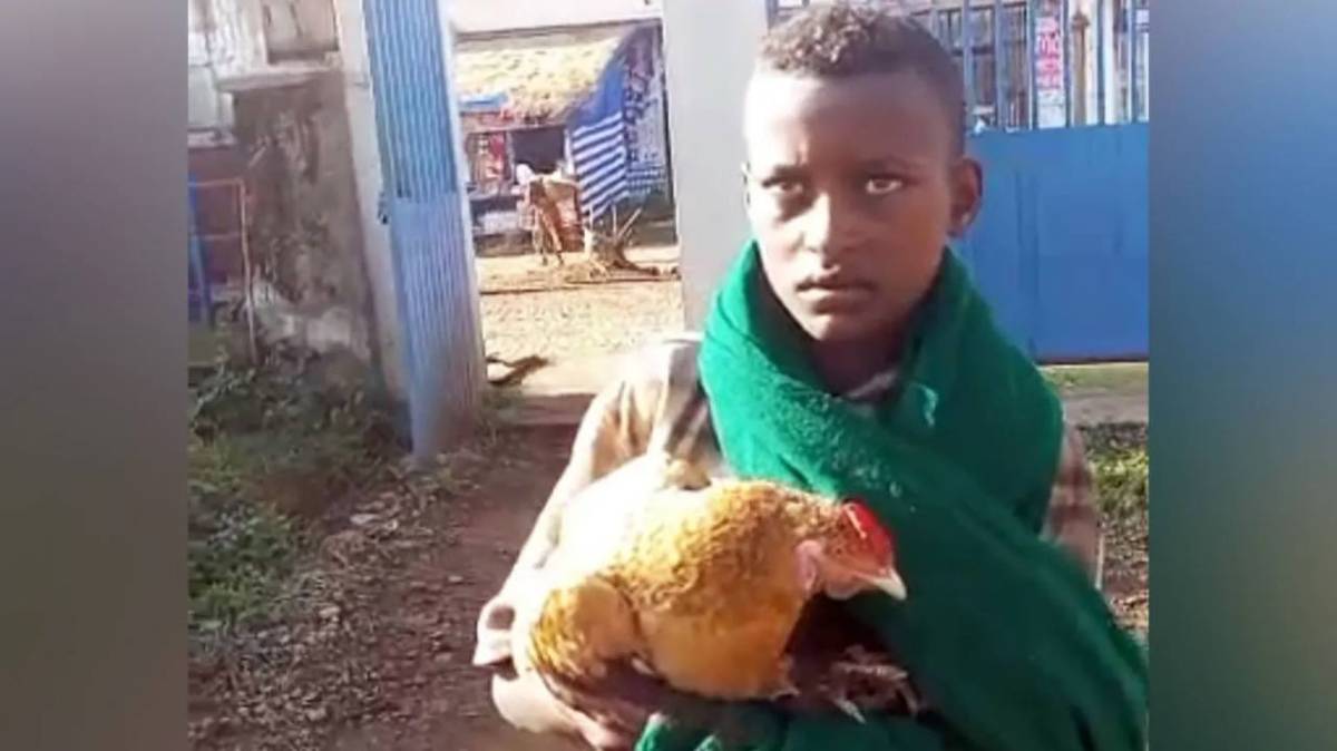 ๐ช๐น 12-Year-Old Boy Melts Hearts After Attempting to Admit His Sick Chicken to an Ethiopian Hospital...
