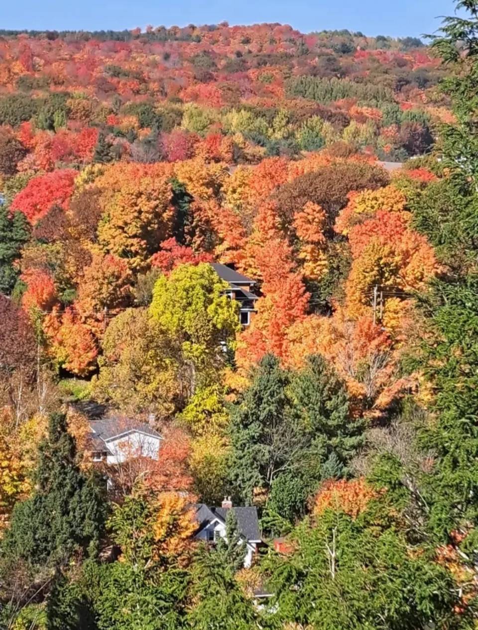 #nature