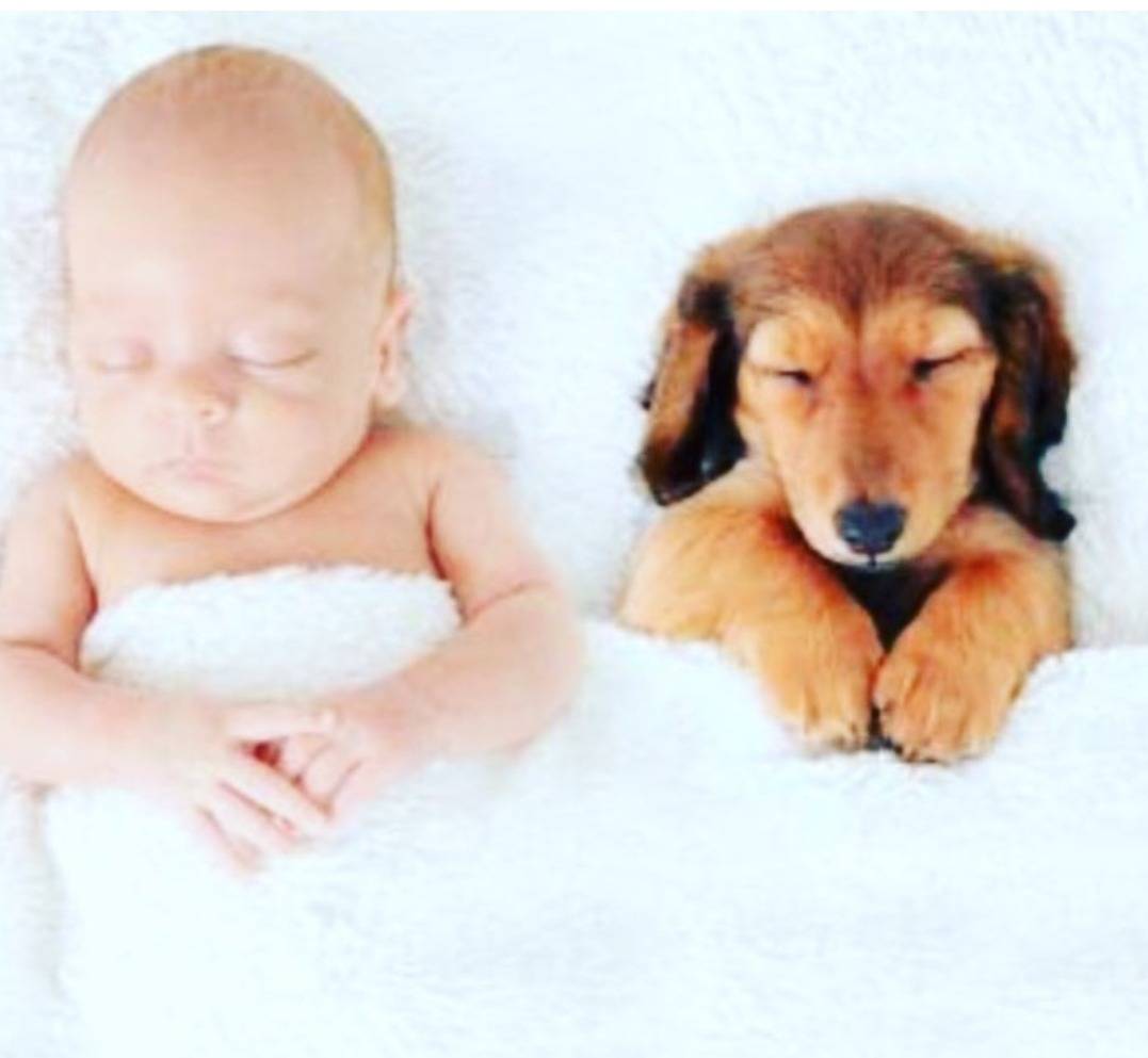 Night night ๐