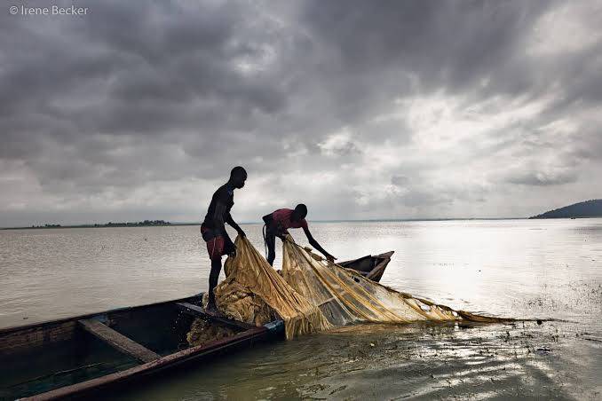 THE RESILIENT SPIRIT 

The never-say-die and resilient spirit of Nigerians is one thing to admire an...