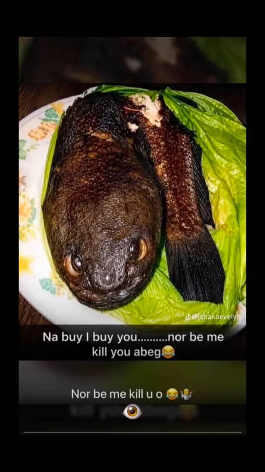 Make Dem beg this fish oo๐๐