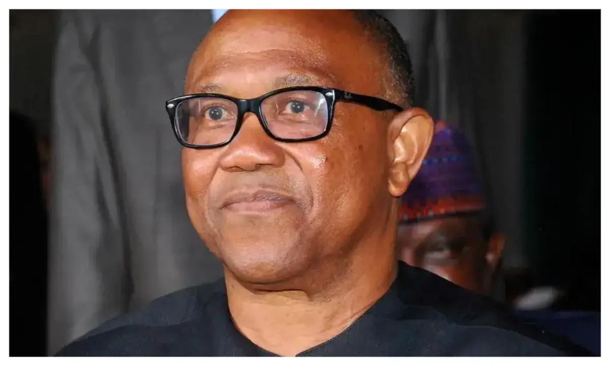 ‘You don’t know how to do it’ – Presidency attacks Peter Obi
By Seun Opejobi
President Bola Tinub...